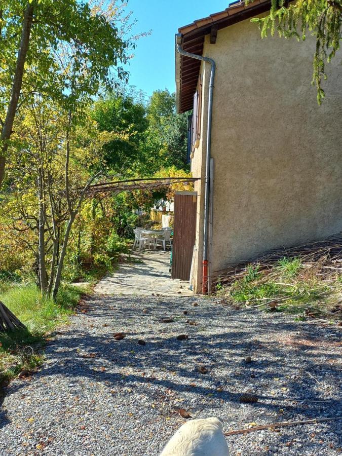 Bas De Villa, 2 Terrasses, Piscine, Spa, Sauna... Neffes エクステリア 写真